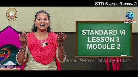 Mane Nobiscum I Cate. Class I STD 6 I Les.3 I M. 2 I മതബോധനം I ക്ലാസ് 6 I പാഠം 3 I ഭാഗം 2 Jeeva News
