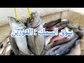 من قلب القوزين   أسرار سوق السمك الأقرب للبحر في جدة نجومي