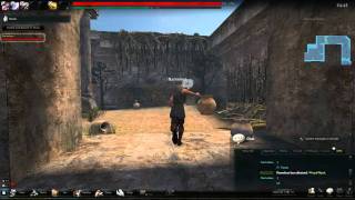 Vindictus Glitches