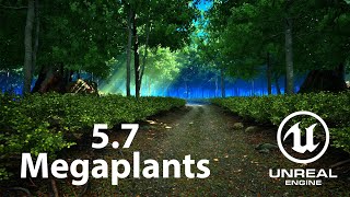 Unreal Engine 5.7 Megaplants A Pcg Forest Path