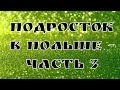 Переезд подростка в Польшу. Адаптация подростка в Польше. Поступление в польский лицей.