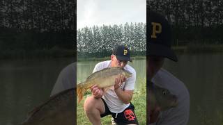 CRACKER, LOVELY MIRROR CARP #fishing #carp #carpfishing #fish #angling #nature #naturelovers