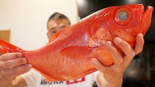 오로시영상]고급생선 금눈돔 어떻게 먹을까? Japanese Red Bream Recipe | How To Fillet - Youtube