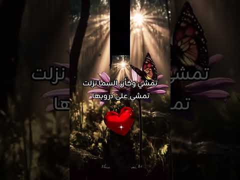 مقطع من انشودة هي زوجتي حصريا قناة الهجرة الى الجنة    