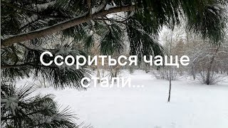 Ссоры или любовь? Выбор за вами.