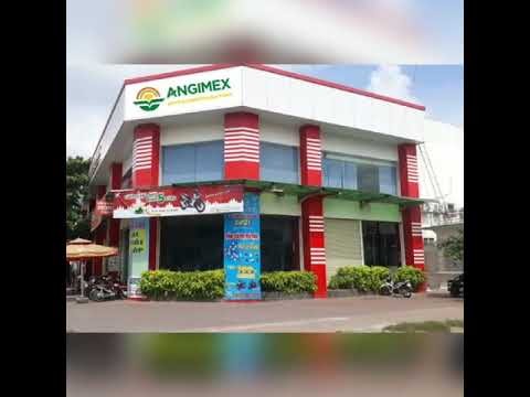 Video Bài ca Angimex - youtube