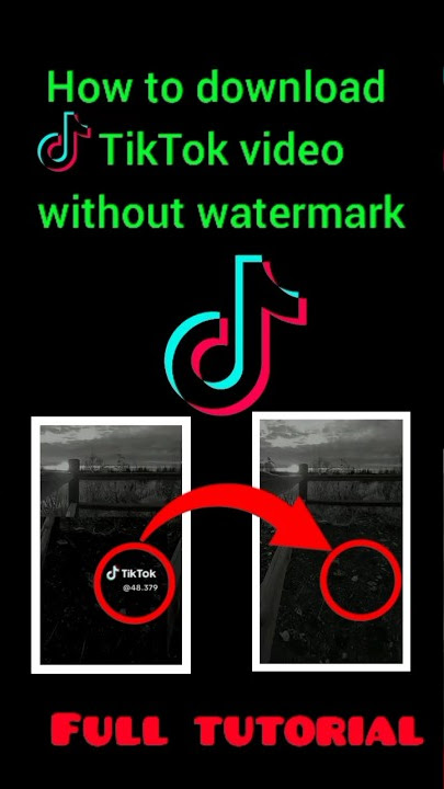 remove WATERMARK from TikTok video #tiktok #watermark