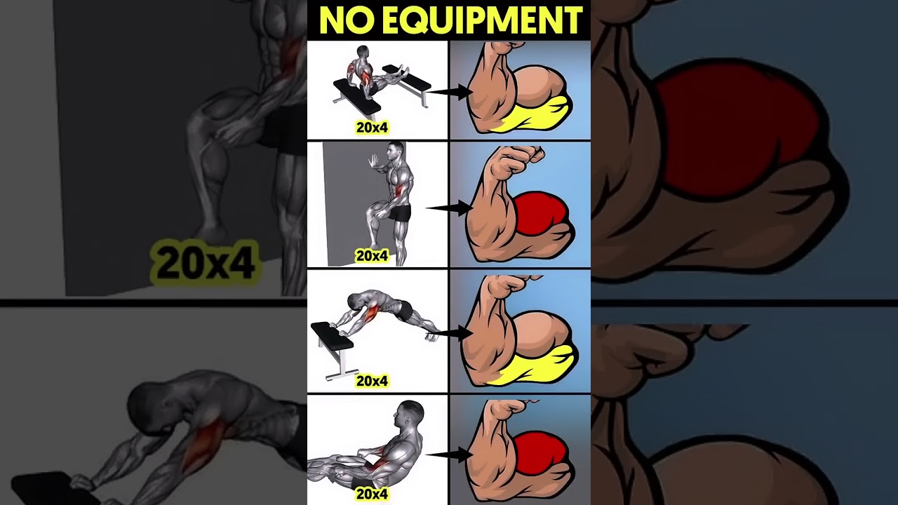 No equipment arm workout !! Biceps Workout Without Equipment !! No Equipment Workout !!