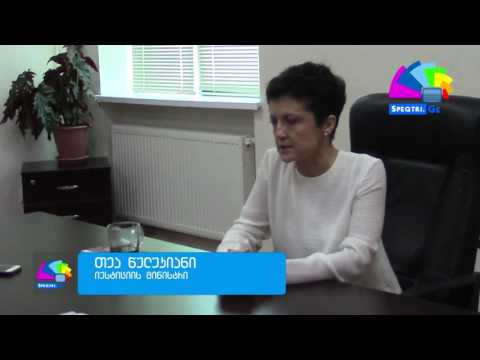 თეა წულუკიანი ერისიმედის მოსახლეობას დახმარებას დაპირდა