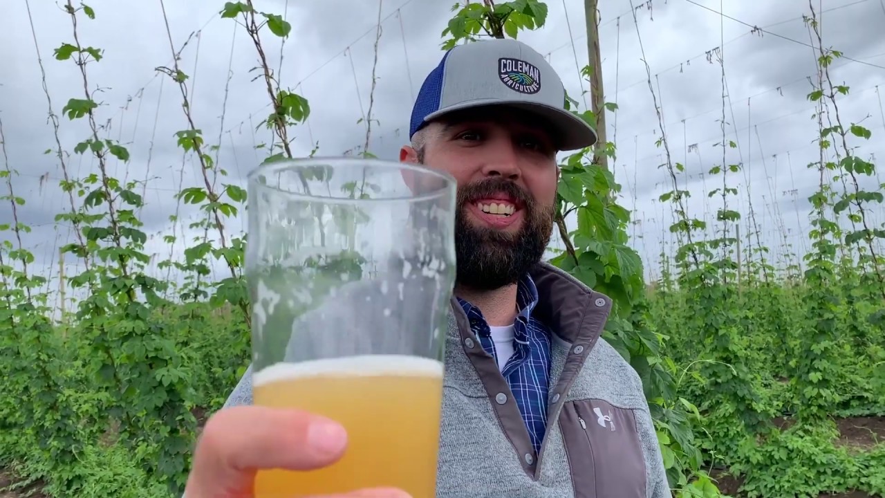 Our Favorite Beers Part I Sky Kraken by Fremont Brewing YouTube