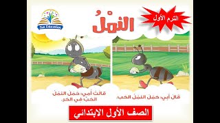 القصة الموجهة ( النمل ) _ لغة عربية - الصف الأول الابتدائي - الترم الأول ( 15 )