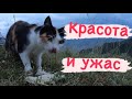 Индия в сердце Дагестана ? Русские без денег