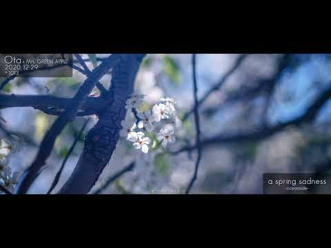 【おた❤️2020 for Holi】Mrs. GREEN APPLE // 春愁 -oceanside-「ピアノアレンジ」