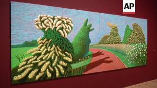 David Hockney exhibition to open at Tate Britain