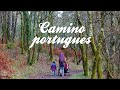 WildKids: Camino portugués a Santiago