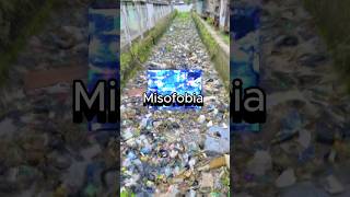 misofobia