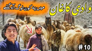 Today Many People Going To Naran Kaghan || Goat And Horses || Naran Kaghan ❤️