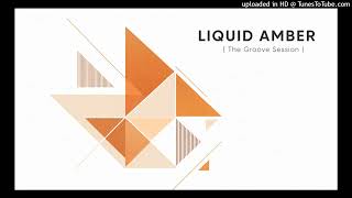 LIQUID AMBER (The Groove Session - Vol. 3 - Minimalist Deep Tech Dub House Master)