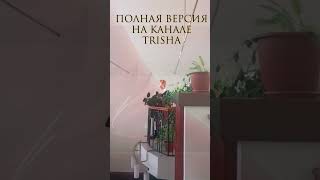 ❗ Адский Босс - Песня Столаса | Живой Вокал #Shorts #Cover #Trisha #Stolas #Helluvaboss #Hazbinhotel