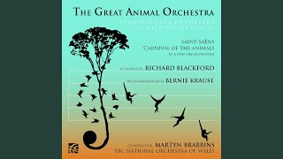 The Great Animal Orchestra Symphony: V. Song of the Musician Wren