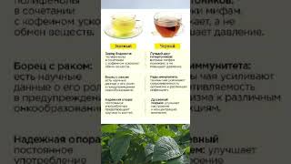 Зеленый и черный чай #советы #полезныесоветы #полезно #чай #витамины  #полезное #пп  #бананы