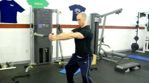 tonygentilcore.com Pallof Press II