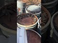 March 2025 Bee Bucket Feeding #bee #beekeeper #honeybee #geesbees #beekeeper