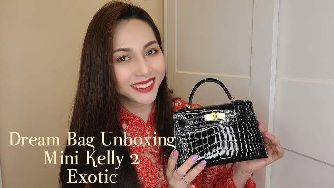 Review of Porosus Hermes 35 Crocodile Birkin Bag & Comparison with Regular  35 Birkin Rouge Casque 