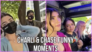 Charli \& Chase funny moments