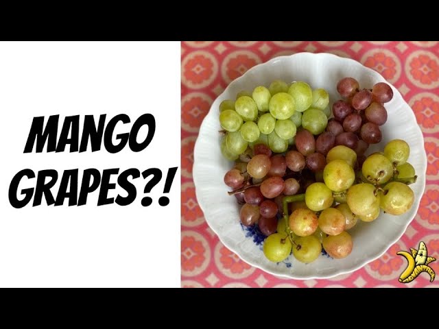 Mango Grapes?!