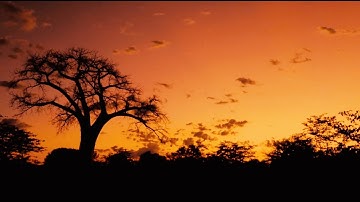 Understanding Landlocked Developing Countries