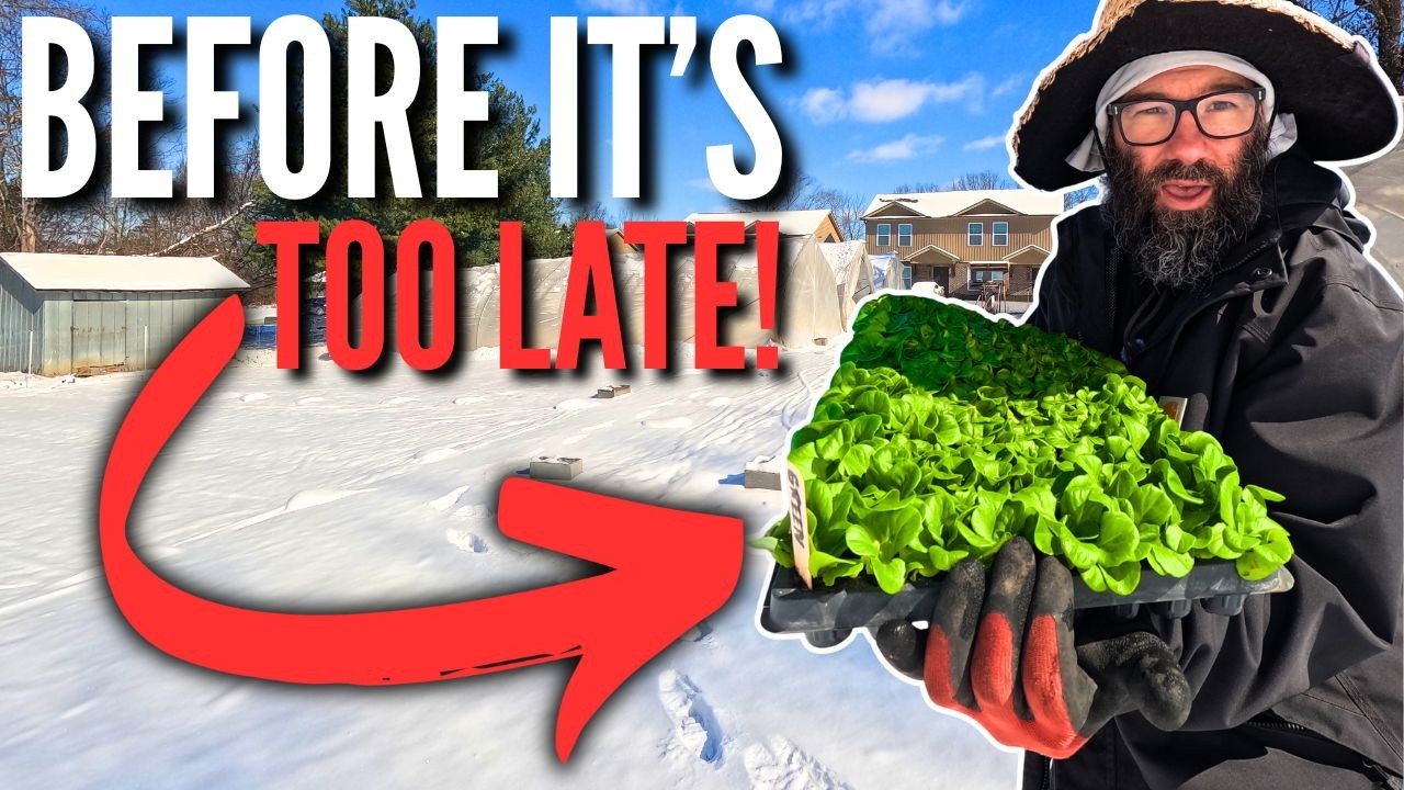 НЕ ЖДИТЕ! Начните выращивать эти 10 культур в феврале (для получения обильных урожаев)