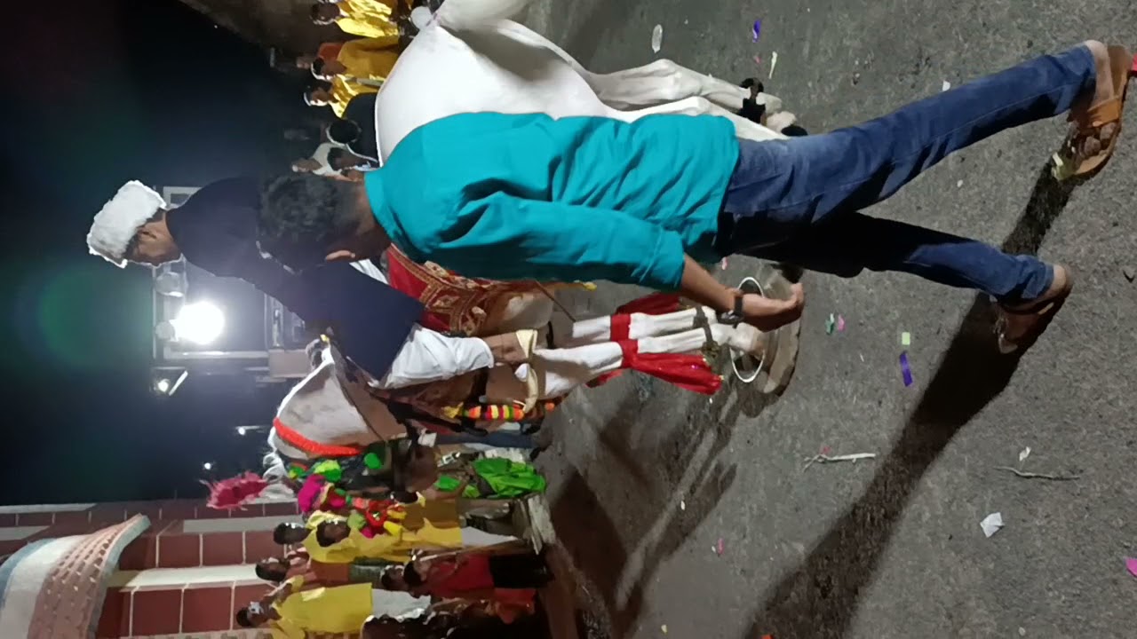 suraj kate horse kodoli satara