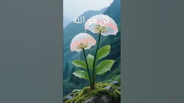 قرآن كريم #nature #المراه #beautiful #duet #الثامن #اكسبلور #الرمال #دويتو