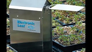 Electronic Leaf Misting Controller