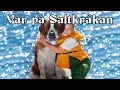 Vår på Saltkråkan - Swedish Spring Song 🌸