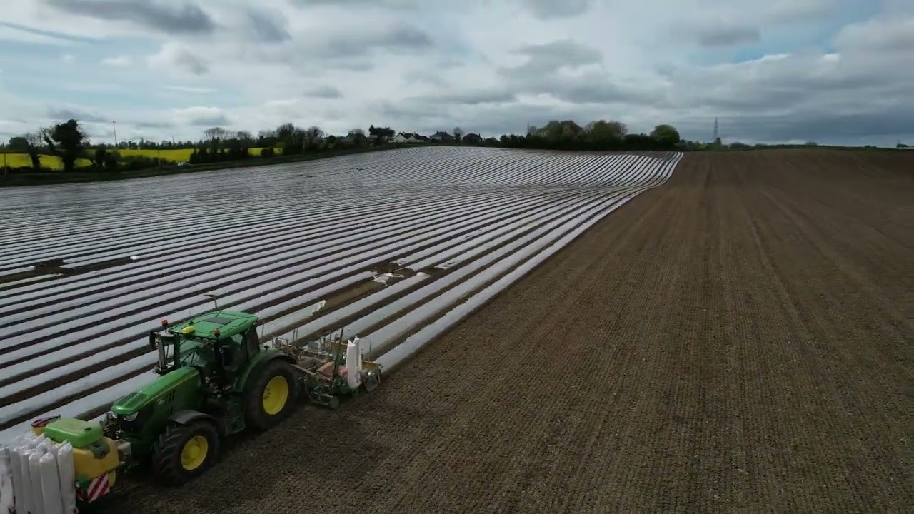 Mcmanus bros planting maize in Dundalk at the Killally (IDA) lands recently