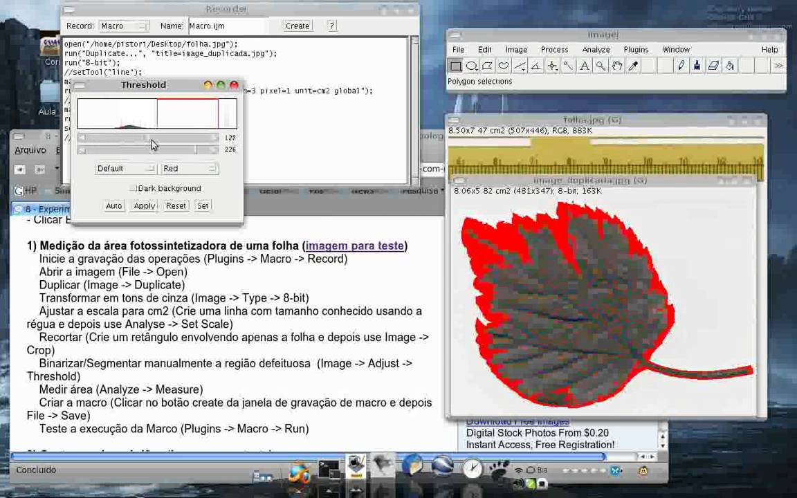 ImageJ & Volume measurement using Manager ROI | imagej คือ