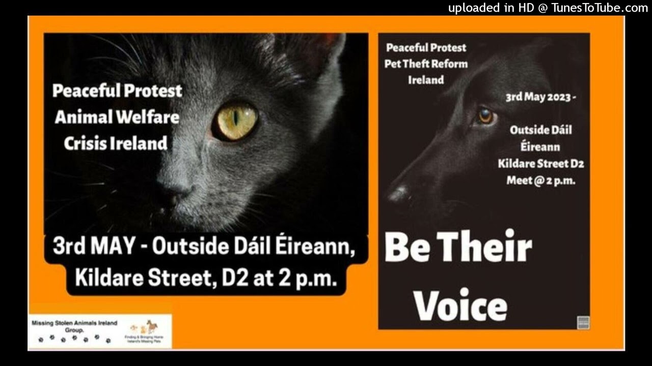 Upcoming Meeting With Oireachtas Members And Demo For Animal Welfare Upcoming Meeting With Oireachtas Members And Demo For Animal Welfare