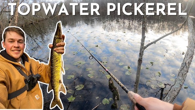 10 Tips For Catching Chain Pickerel