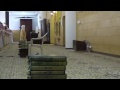 إن الأبرار لفي نعيم نعيم المؤمنين في الجنه بأداء عراقي خاشع للشيخ ياسر الدوسري mp3