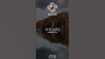 الشيخ حمزة معاذ، سورة فاطر