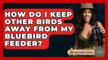 How Do I Keep Other Birds Away From My Bluebird Feeder? - Bird Watching Diaries