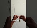 Palomar knot done to the best of my novice abilities
