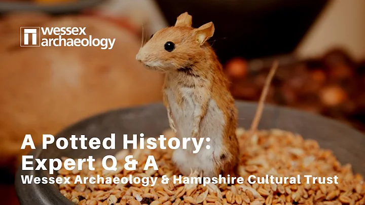 A Potted History: Expert Q&A with Wessex Archaeology & HCT
