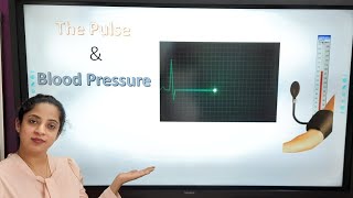 Pulse & Blood Pressure - The Circulatory system ICSE Class 10