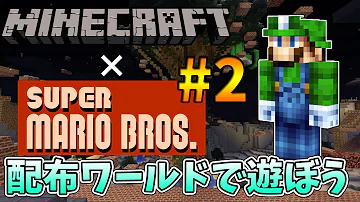 تحميل ぽこにゃん マイクラ 配布ワールド マリオ