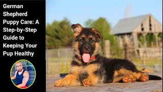 #GermanShepherd Puppies 101 A Guide to Raising Your Furry Best Friend by My New Puppy with Ali A. Parker 110 views 1 year ago 3 minutes, 16 seconds