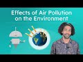 Air Quality Insights and Pollution Factors