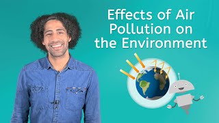 Effects of Air Pollution on the Environment - Earth Science for Kids!